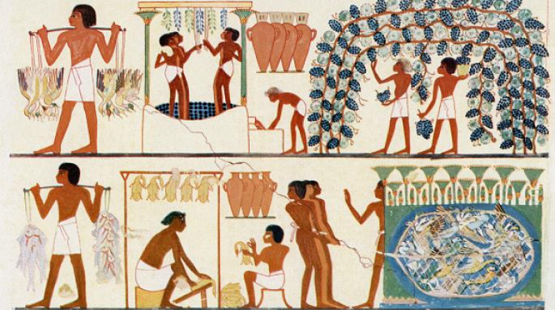 تعرّفوا إلى الطعام في مصر القديمة.. ماذا أكل الفراعنة؟